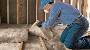 Best Attic Insulation Installation  in Tavares, FL