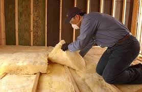 Best Wall Insulation Installation  in Tavares, FL