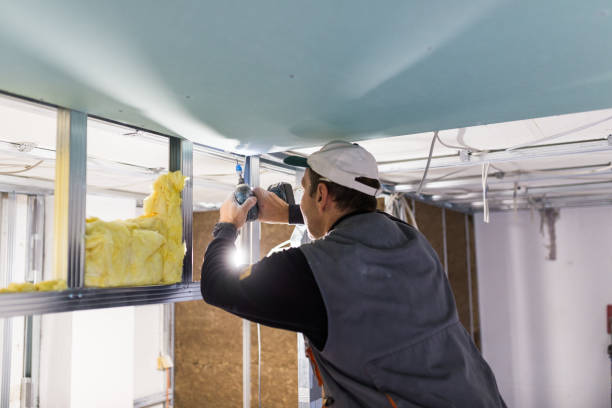 Best Insulation for Existing Homes  in Tavares, FL