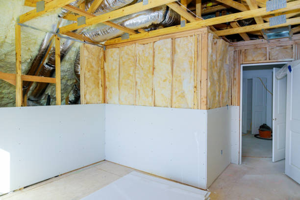 Best Insulation Removal  in Tavares, FL