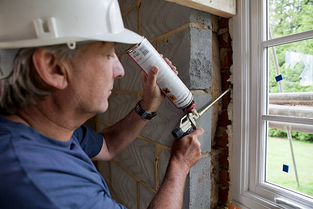 Best Blown-In Insulation  in Tavares, FL