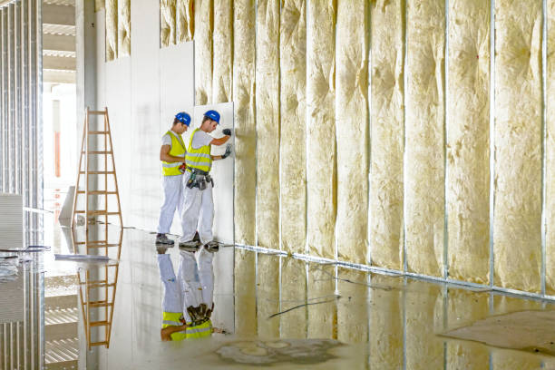 Best Spray Foam Insulation  in Tavares, FL